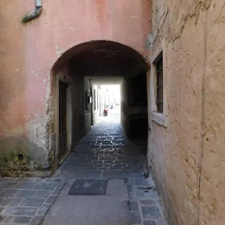 Free Terrace شقة *