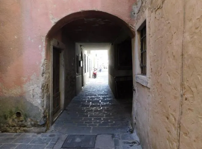 Free Terrace アパート *